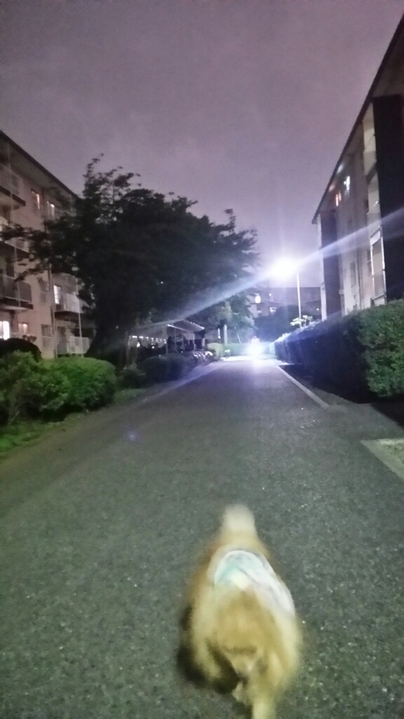 d0177473_13414773.jpg