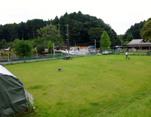a0157174_19362892.jpg