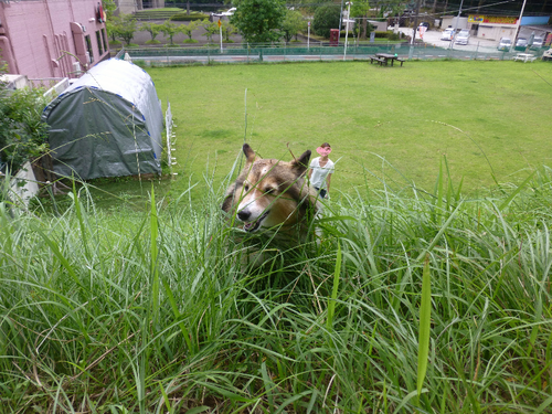 a0157174_2042432.png