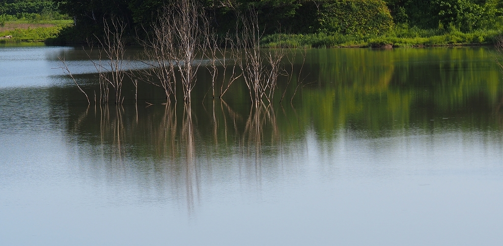 c0355778_11012422.jpg