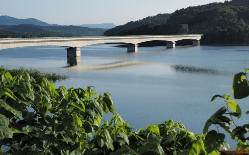c0355778_11020751.jpg