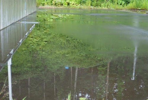 c0355778_11022698.jpg