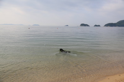 f0037378_17341875.jpg