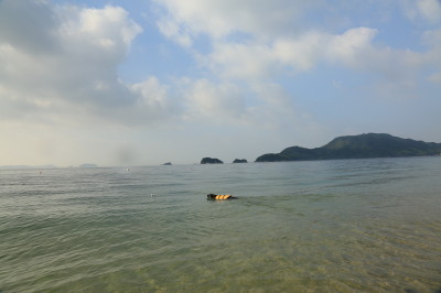 f0037378_17344082.jpg