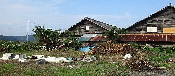 f0003283_14024784.jpg