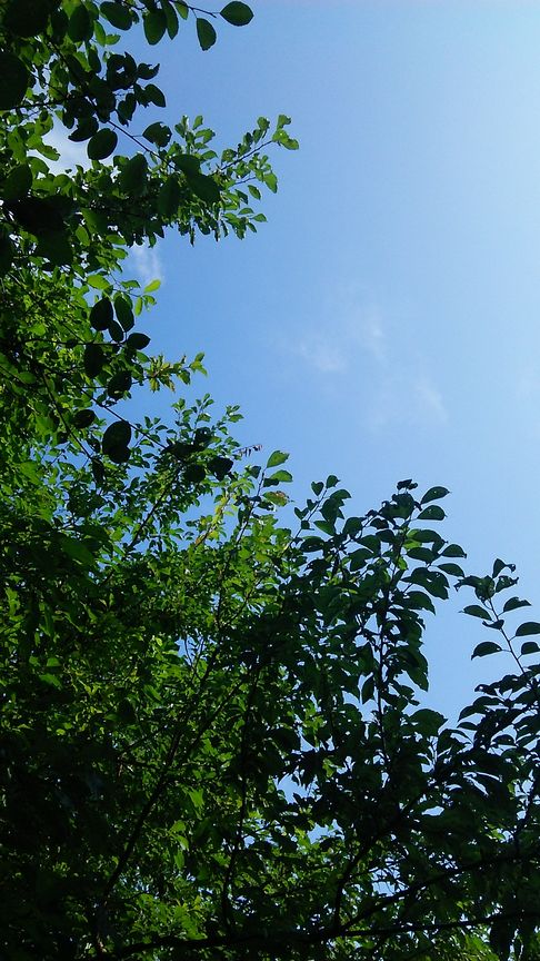 b0091187_22291160.jpg