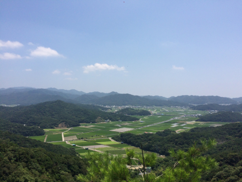a0348193_15262655.jpg