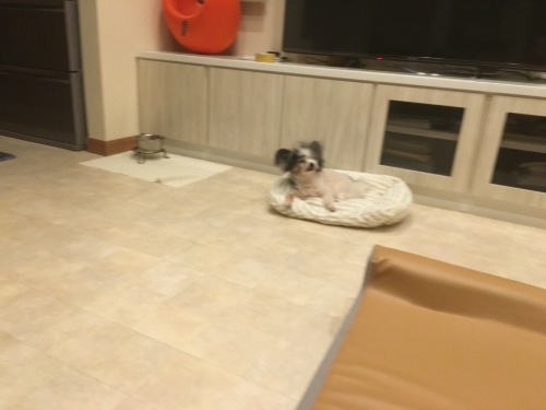 d0269898_01130174.jpeg