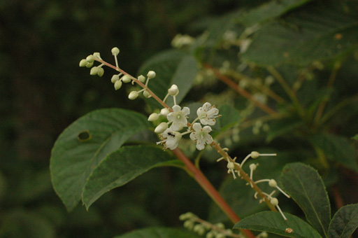 a0061599_749393.jpg