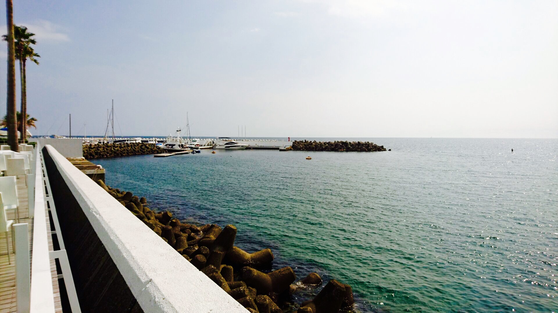 c0202101_021526.jpg