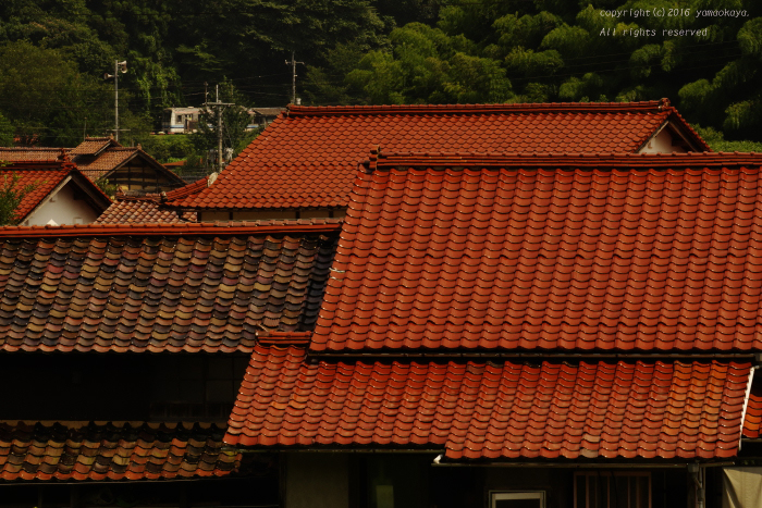d0309612_22444621.jpg