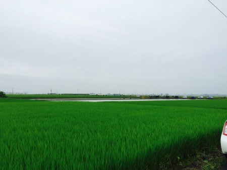 d0346713_19523451.jpeg