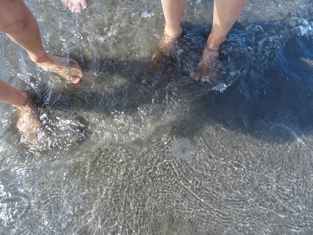 f0217014_2114361.jpg