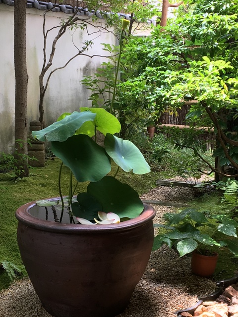 c0006826_15143328.jpg