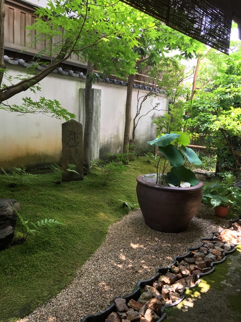 c0006826_1514426.jpg