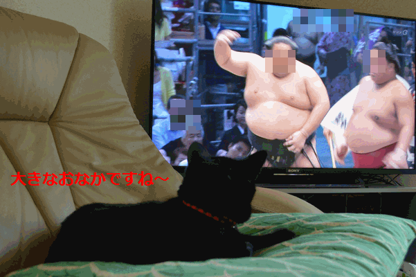 c0136736_2324429.gif