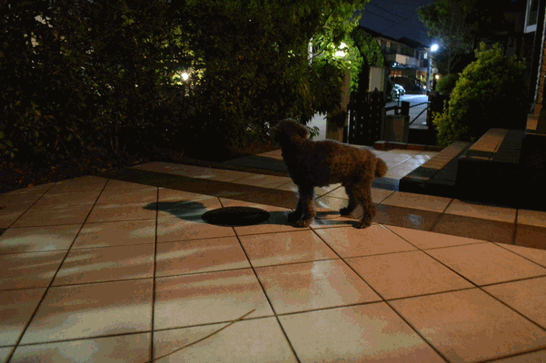 c0136736_23371648.gif