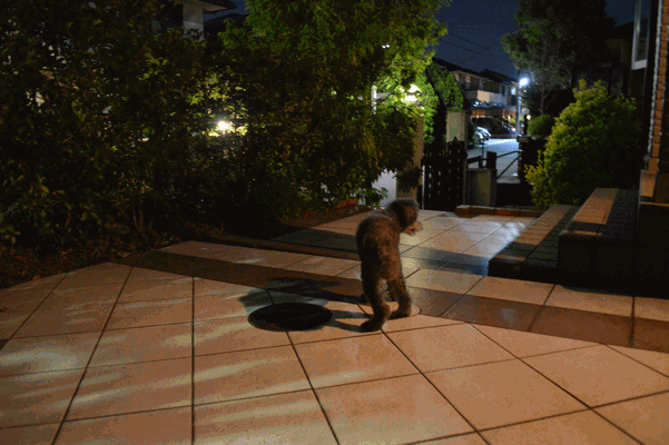 c0136736_2337944.gif