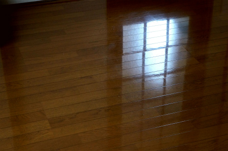 a0027641_72205.jpg