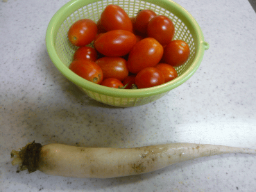 c0365341_22140019.gif