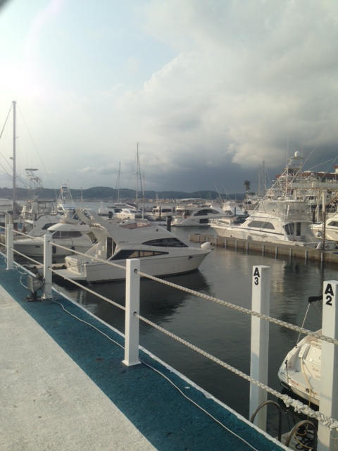 c0343447_922773.jpg