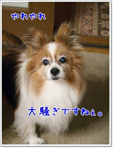 d0013149_00035661.jpg