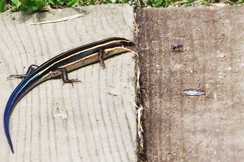 b0236251_1114499.jpg