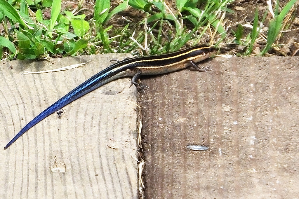 b0236251_11145927.jpg
