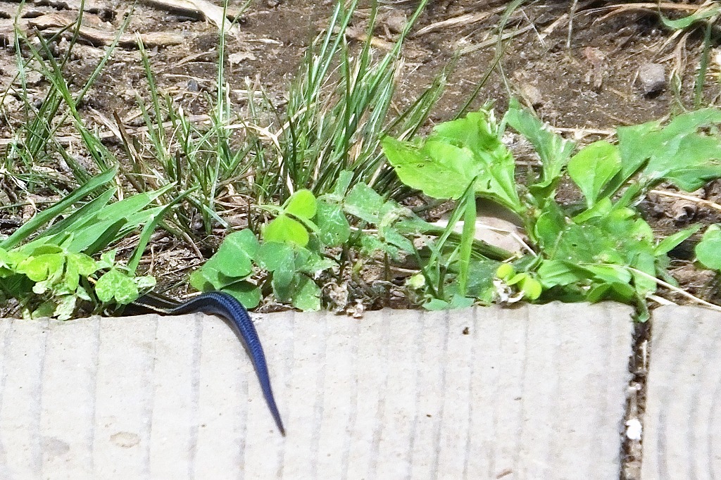 b0236251_11161839.jpg