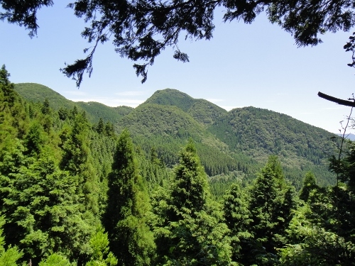 c0179351_16401813.jpg