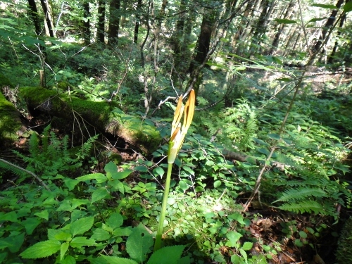 c0179351_16433951.jpg