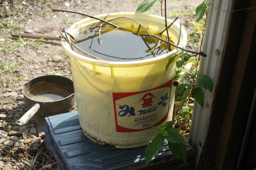 f0257756_041466.jpg