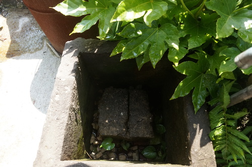 f0257756_0445254.jpg