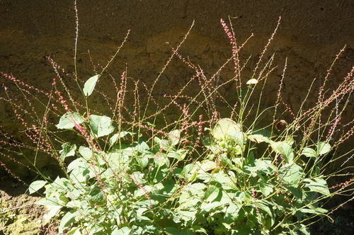 f0257756_0452942.jpg