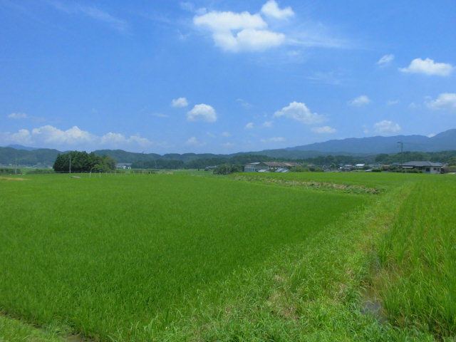 f0318967_15294603.jpg