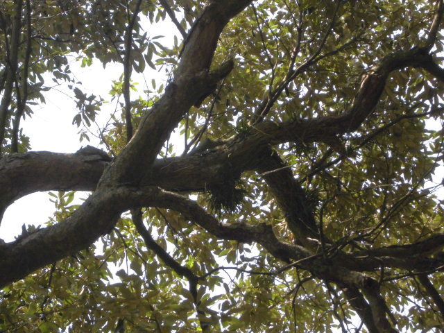 f0318967_17114686.jpg