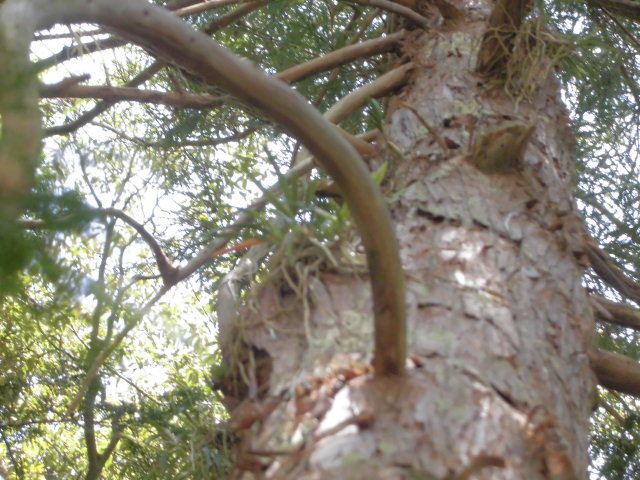 f0318967_17371794.jpg
