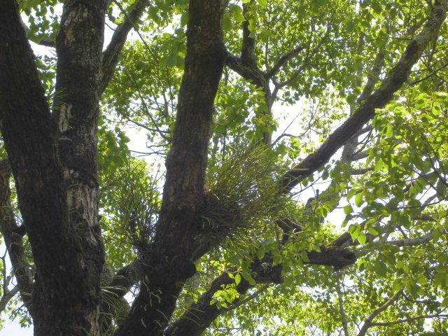 f0318967_17402306.jpg