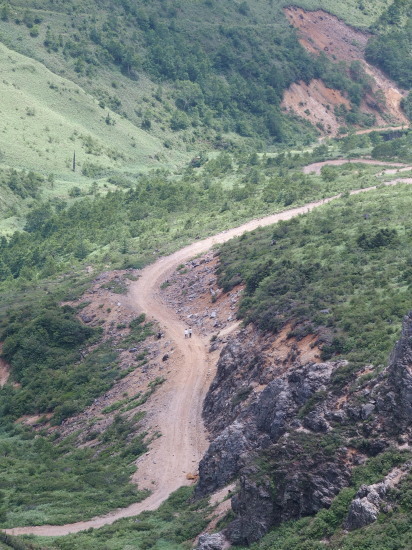 c0122670_07081997.jpg