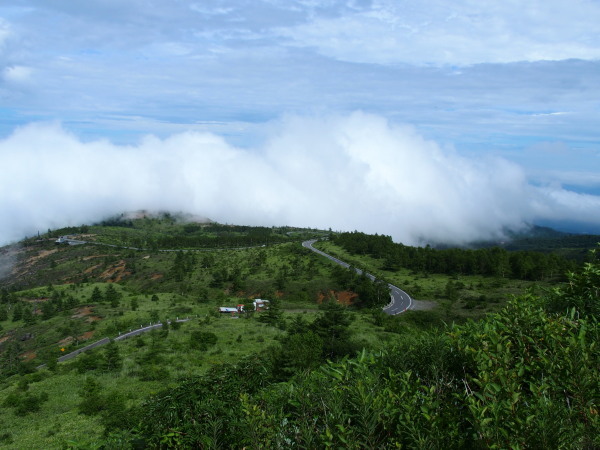c0122670_07122365.jpg