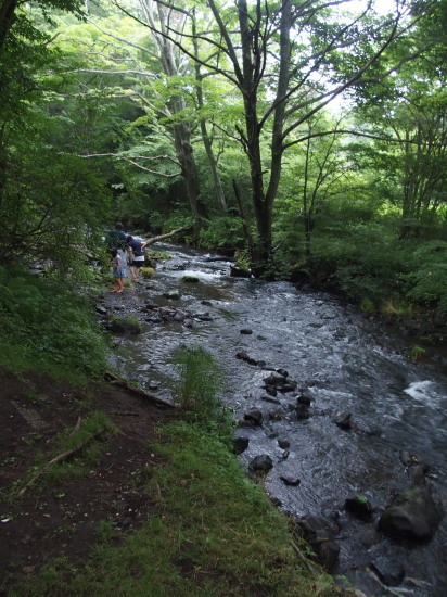c0122670_21044788.jpg