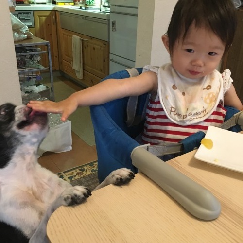 d0041575_19551159.jpeg