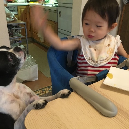 d0041575_19554368.jpeg