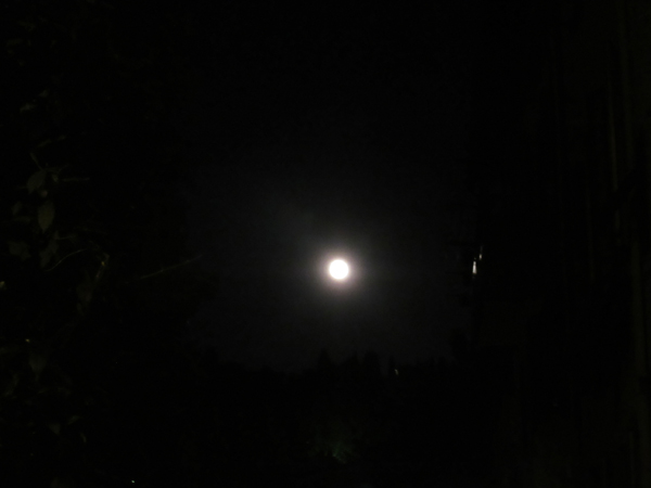 c0179785_2151833.jpg