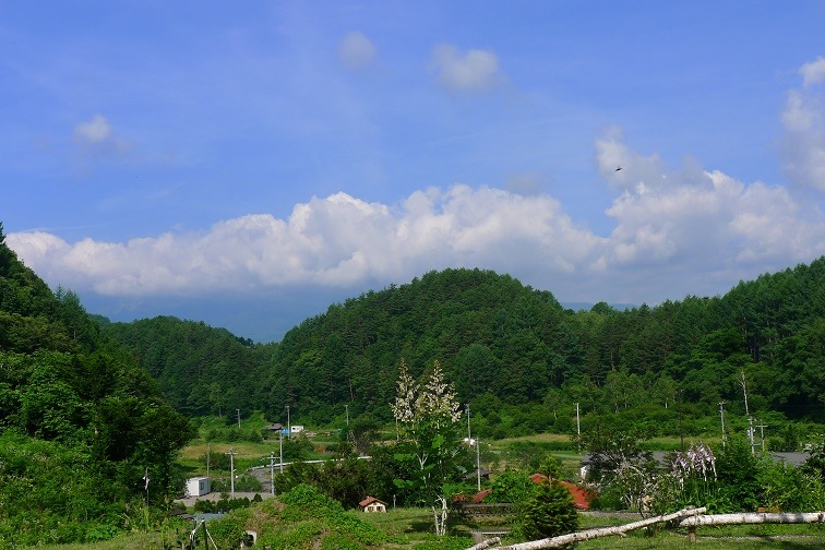 a0130586_20413396.jpg