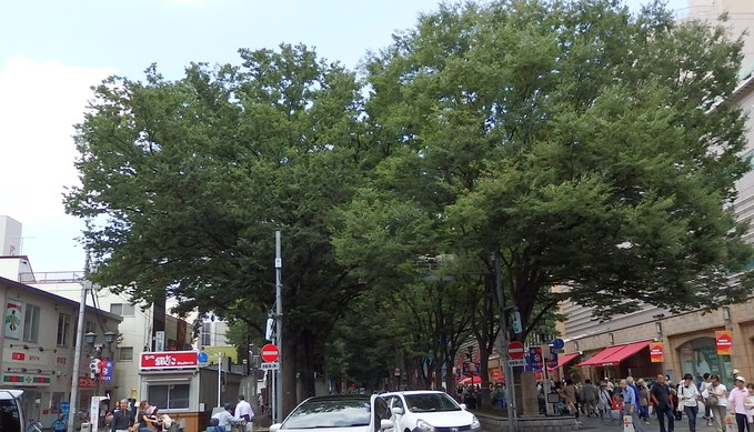 b0197486_8545244.jpg