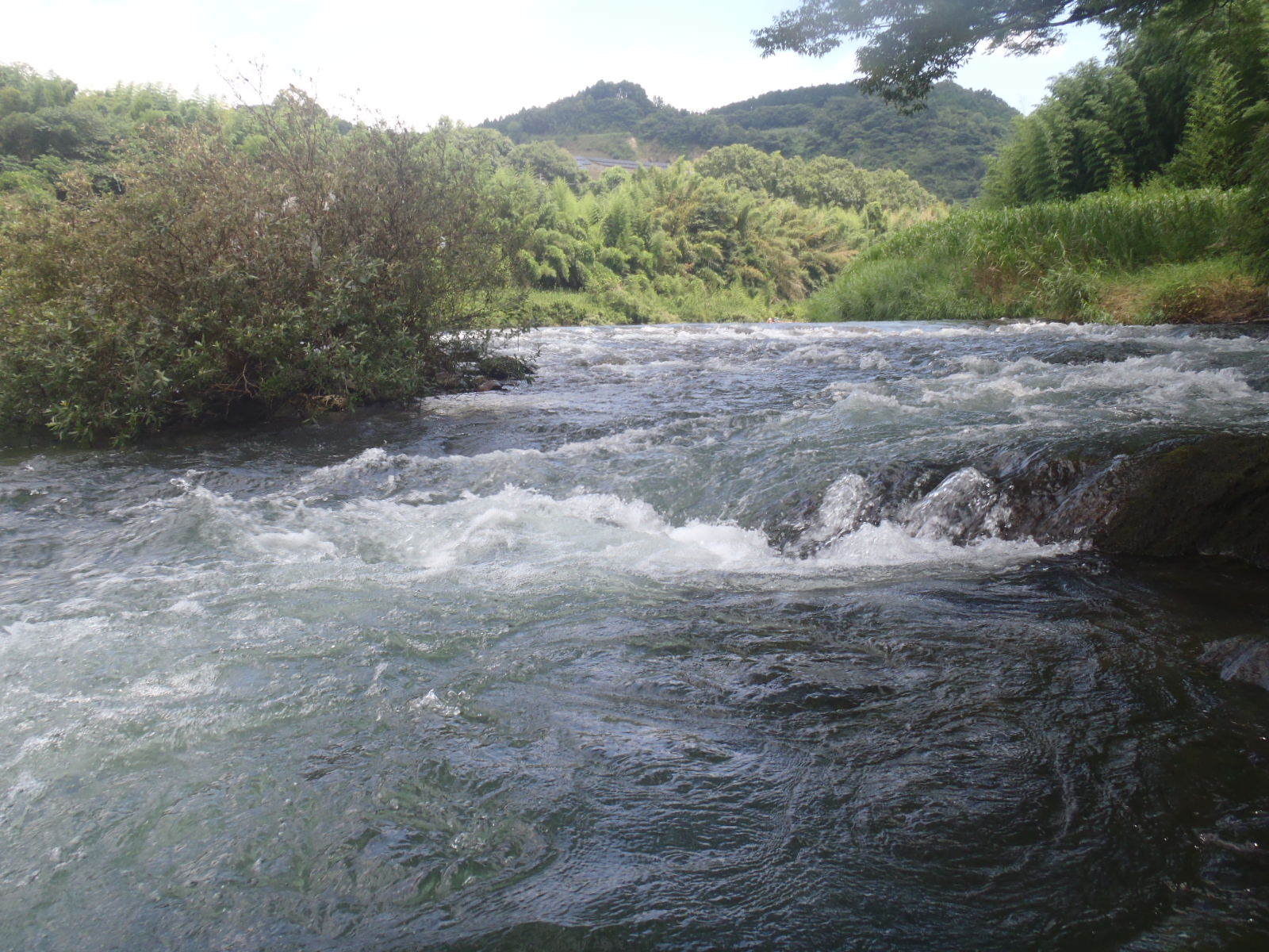 b0139489_22125295.jpg