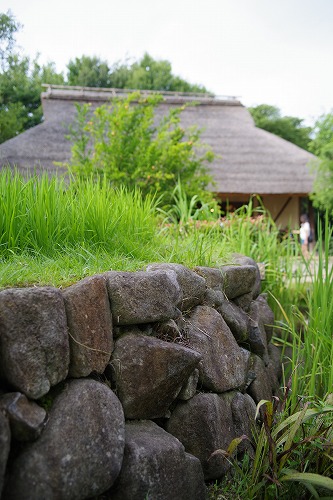 b0119493_22391362.jpg
