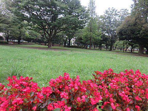 d0046702_22175413.jpg