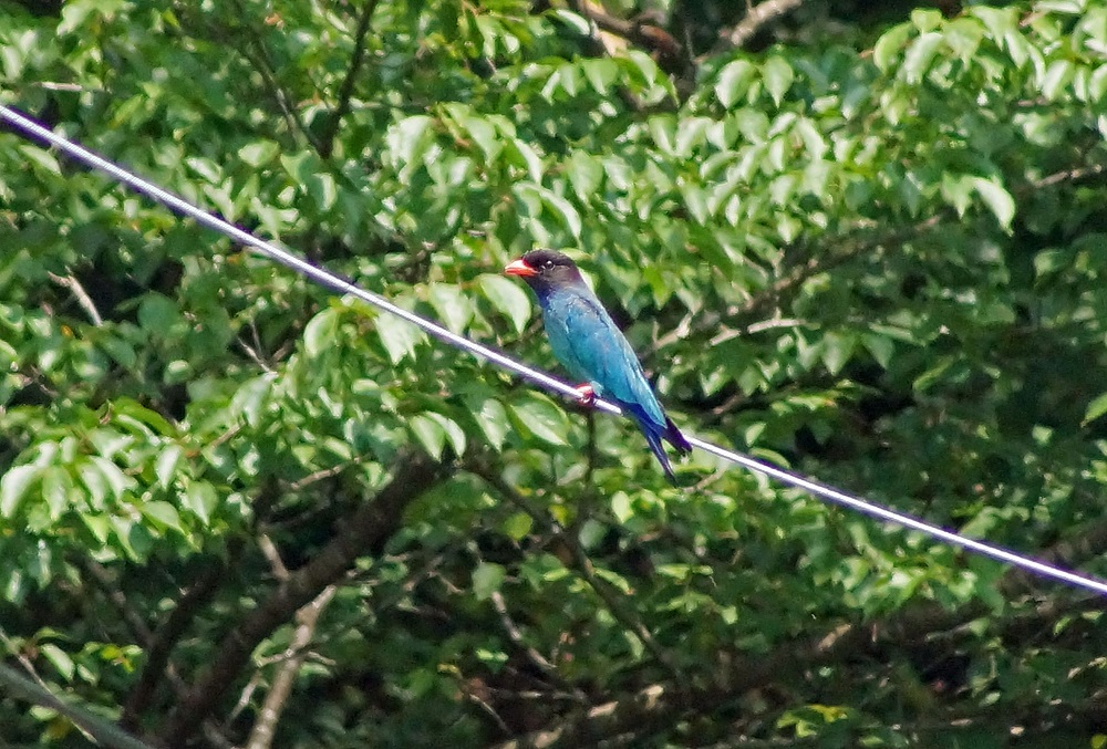 c0042418_7454610.jpg